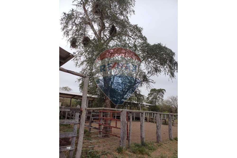 VENDO CAMPO GANADERO EN BOQUERON ZONA PALO SANTO — foto 2