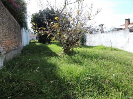 Gran Terreno, 2 Casitas Al Fondo.