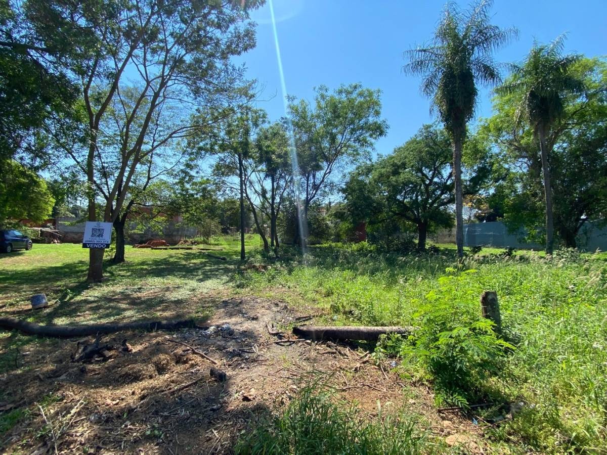 VENDO 3 TERRENOS A UNA CUADRA DE RUTA LUQUE-LIMPIO - foto 5