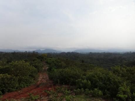 92 Hectáreas En Terebinto
