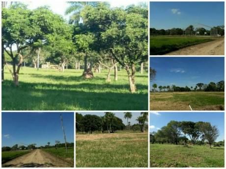 En Venta Hermosos Lotes De Terreno!!