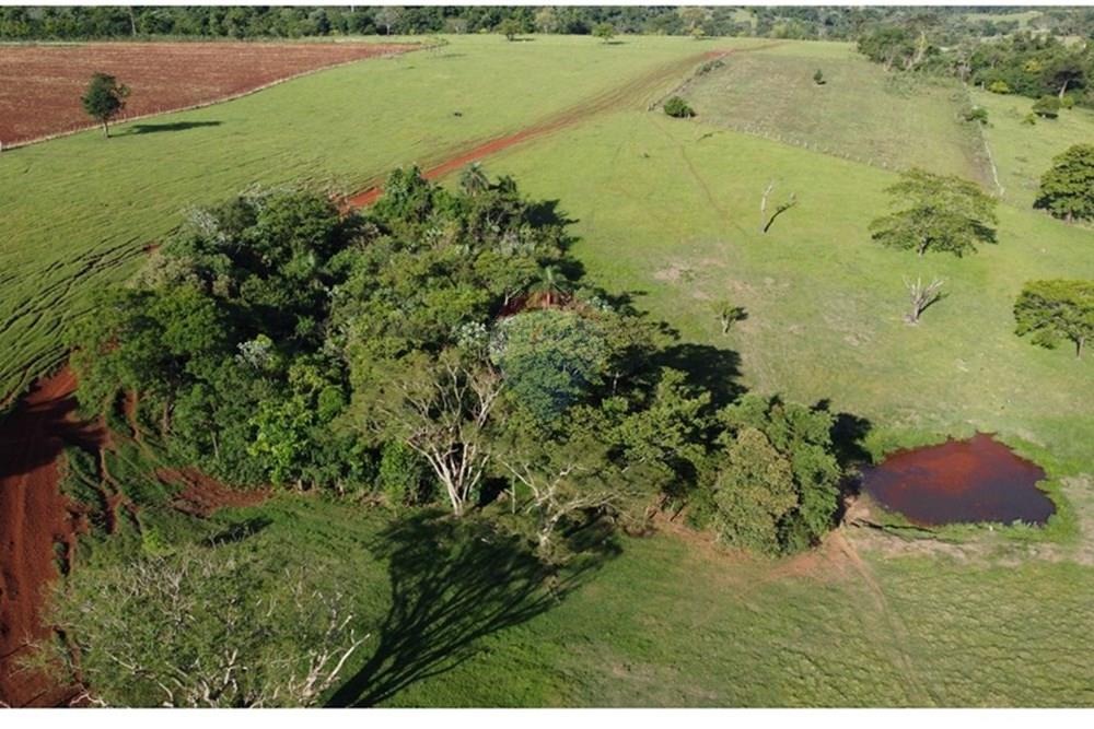 ESTANCIA GANADERA Y AGROPECUARIA. — foto 3