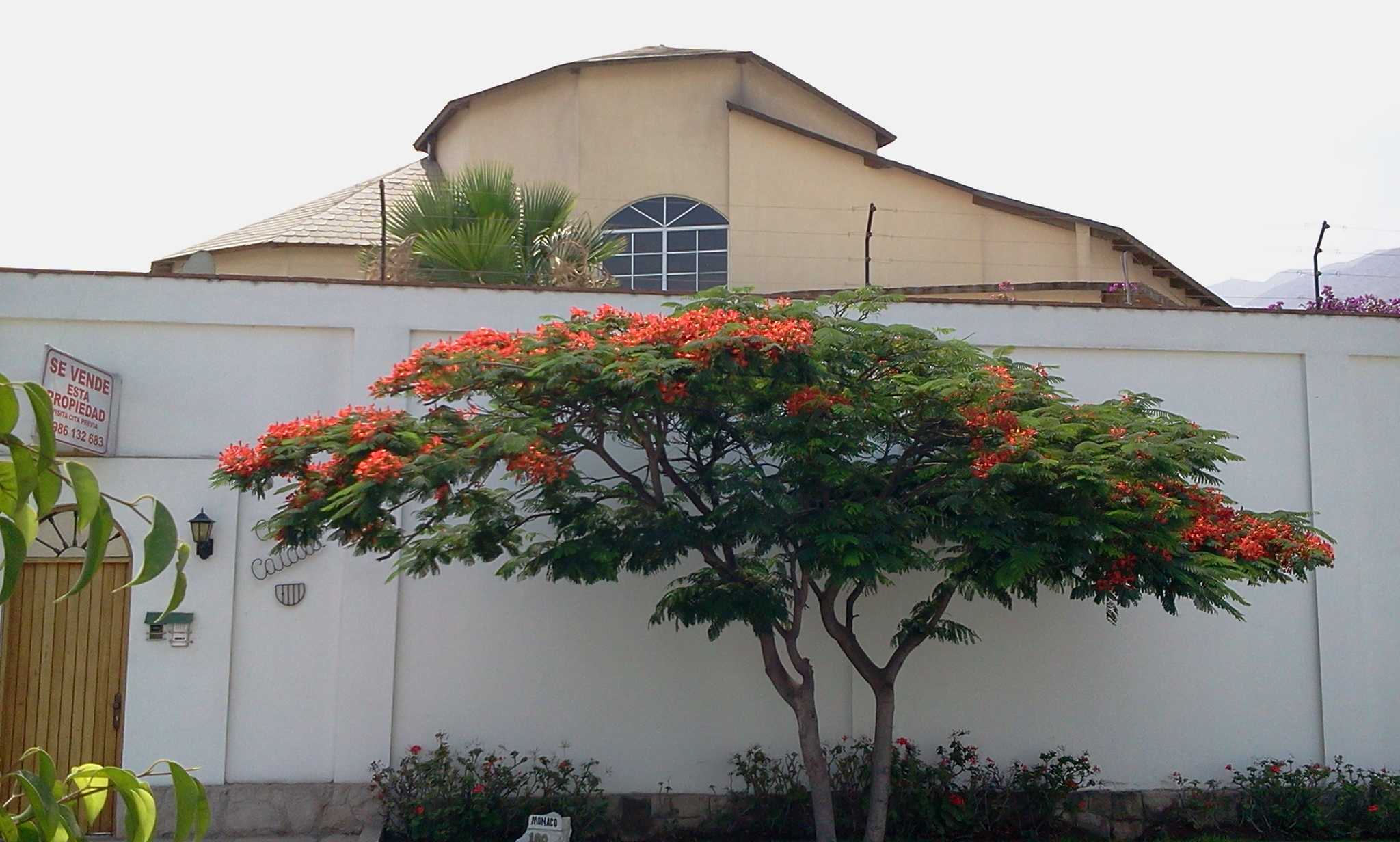 Casa en venta en La Molina