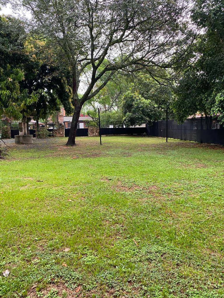 VENDO HERMOSO TERRENO EN SAN BERNARDINO — foto 3
