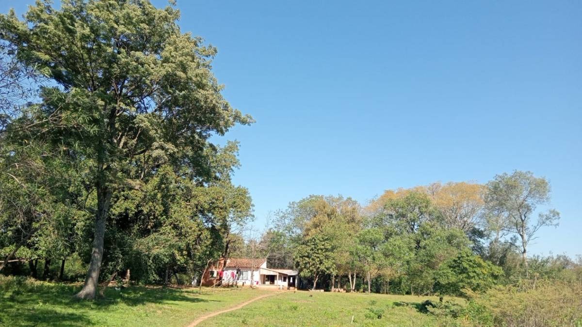 VENDO 10HAS DE TERRENO EN NUEVA COLOMBIA — foto 2