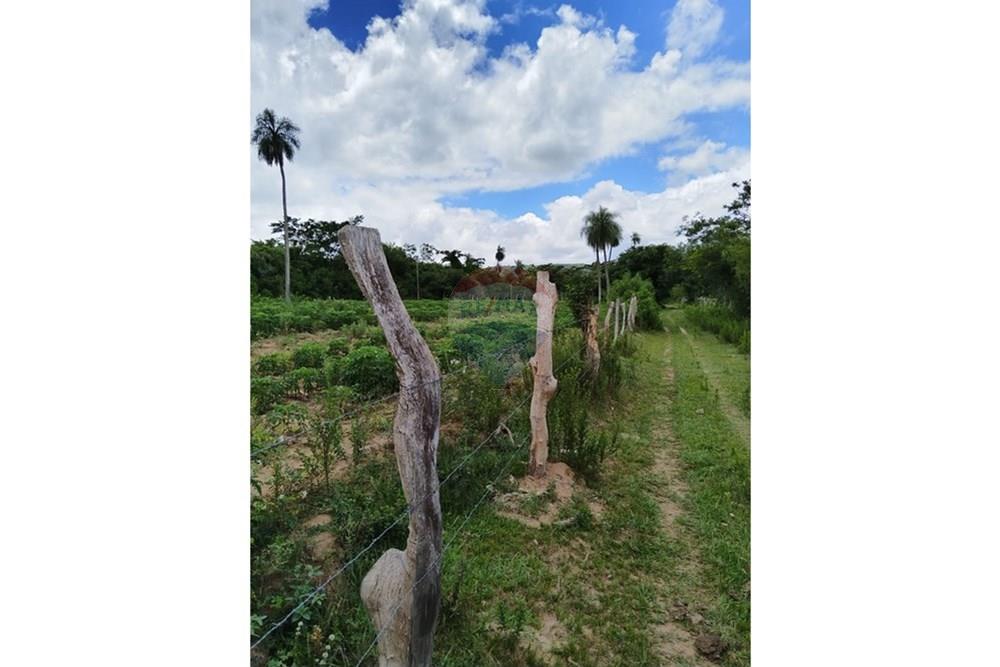 Vendo Terreno En Paraguari — foto 3