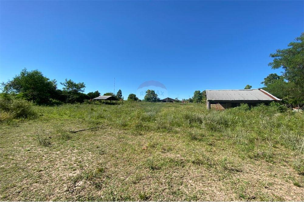 VENDO TERRENO DE 1 HA. MAS 1.050 M2. — foto 2