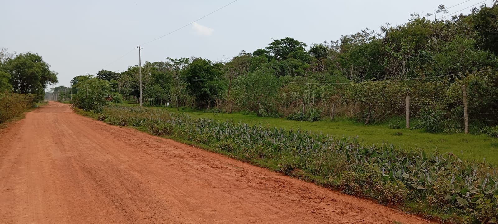 BAJA DE PRECIO! Vendo Hermosa Propiedad De 9,5 Has En Primero De Marzo! — foto 2