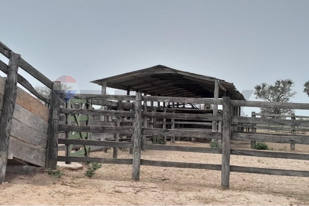 VENDO CAMPO ZONA FORTIN CABALLERO 6.709 HECTAREAS — foto 2
