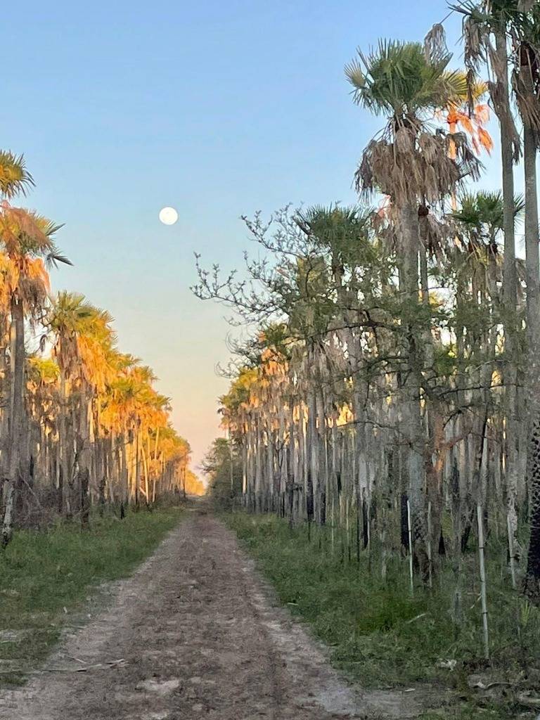 VENDO ESTANCIA EN EL SUR DE FUERTE OLIMPO — foto 2