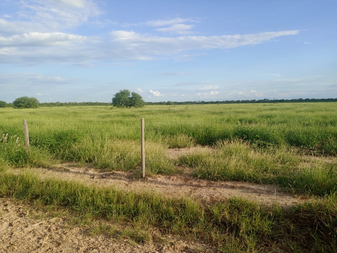Vendo estancia en zona florida alto paraguay — foto 2