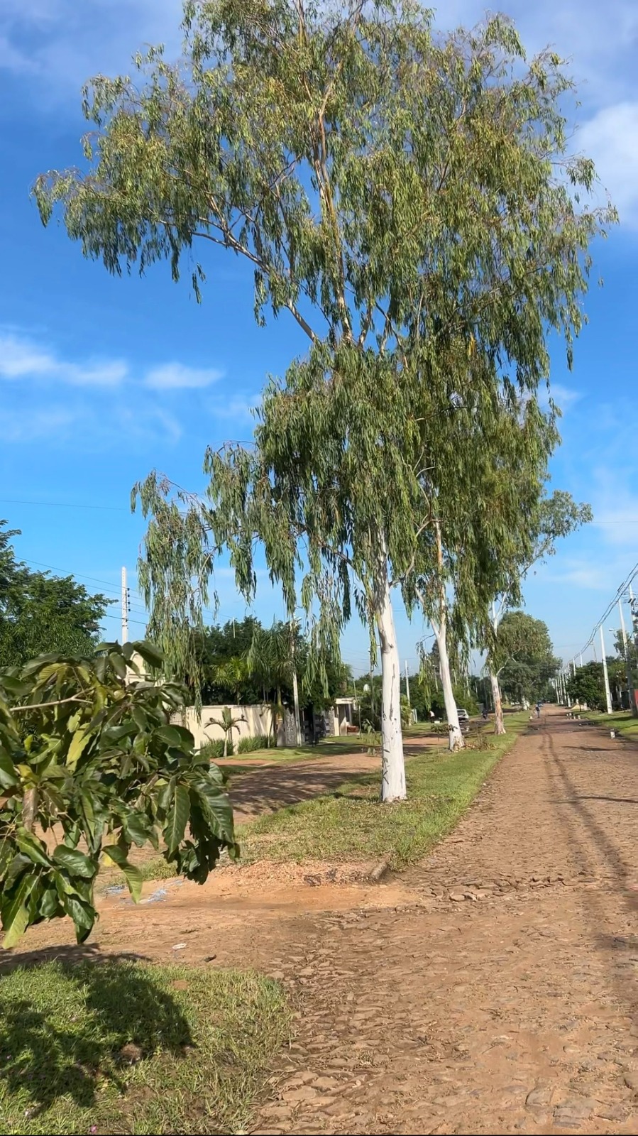 EN VENTA TERRENO EN PUERTA DEL LAGO — foto 2