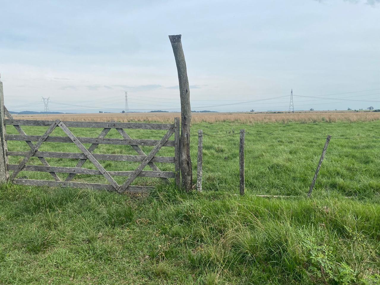 VENDO CAMPO EN SAN MIGUEL MISIONES 102 HECTAREAS — foto 2