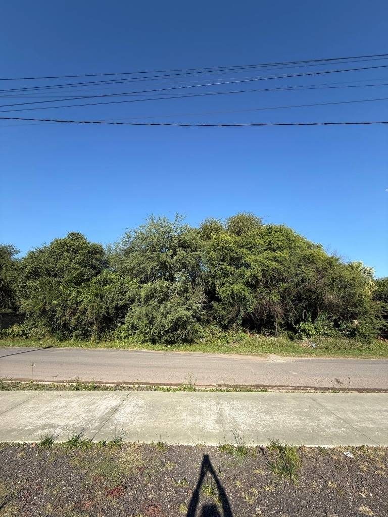 TERRENOS EN VENTA EN JOSÉ FALCÓN  EXCELENTE UBICACIÓN Y GRAN POTENCIAL — foto 3