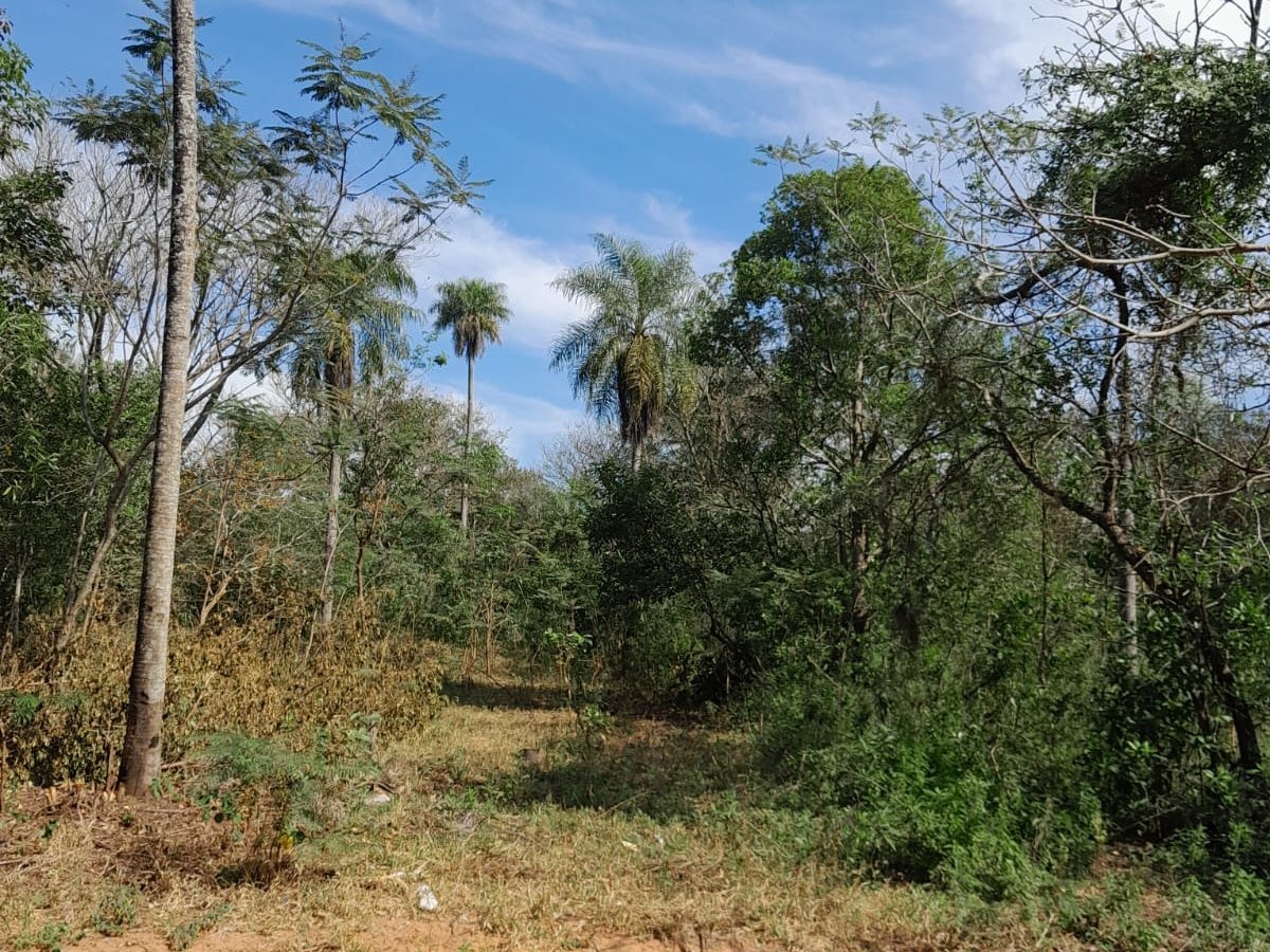 VENDO TERRENO EN ALTOS — foto 3