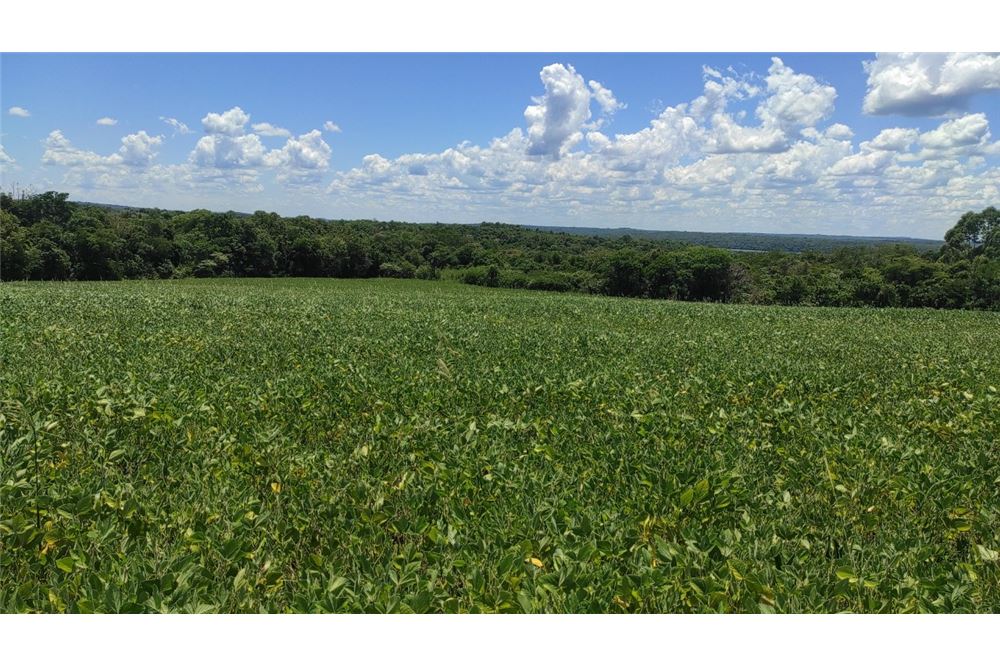 Finca Agrícola-venta-cambyreta, Cambyretá, Itapúa — foto 2