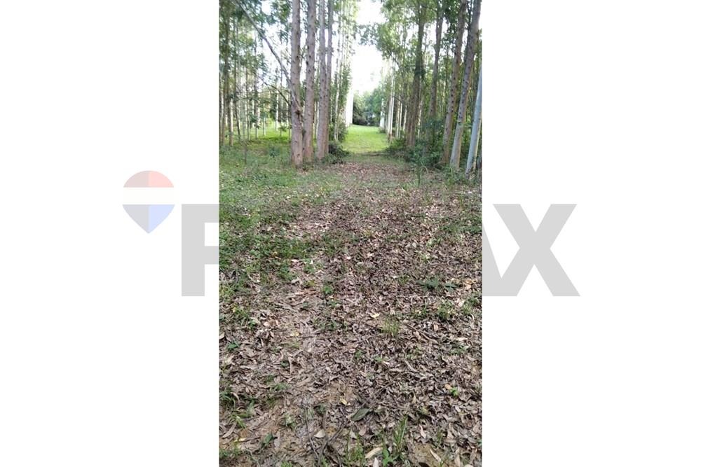 Terreno - Venta - Itacurubí De La Cordillera, Paraguay — foto 2