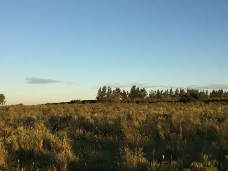 Campo Con Agua Y Luz En Puerta