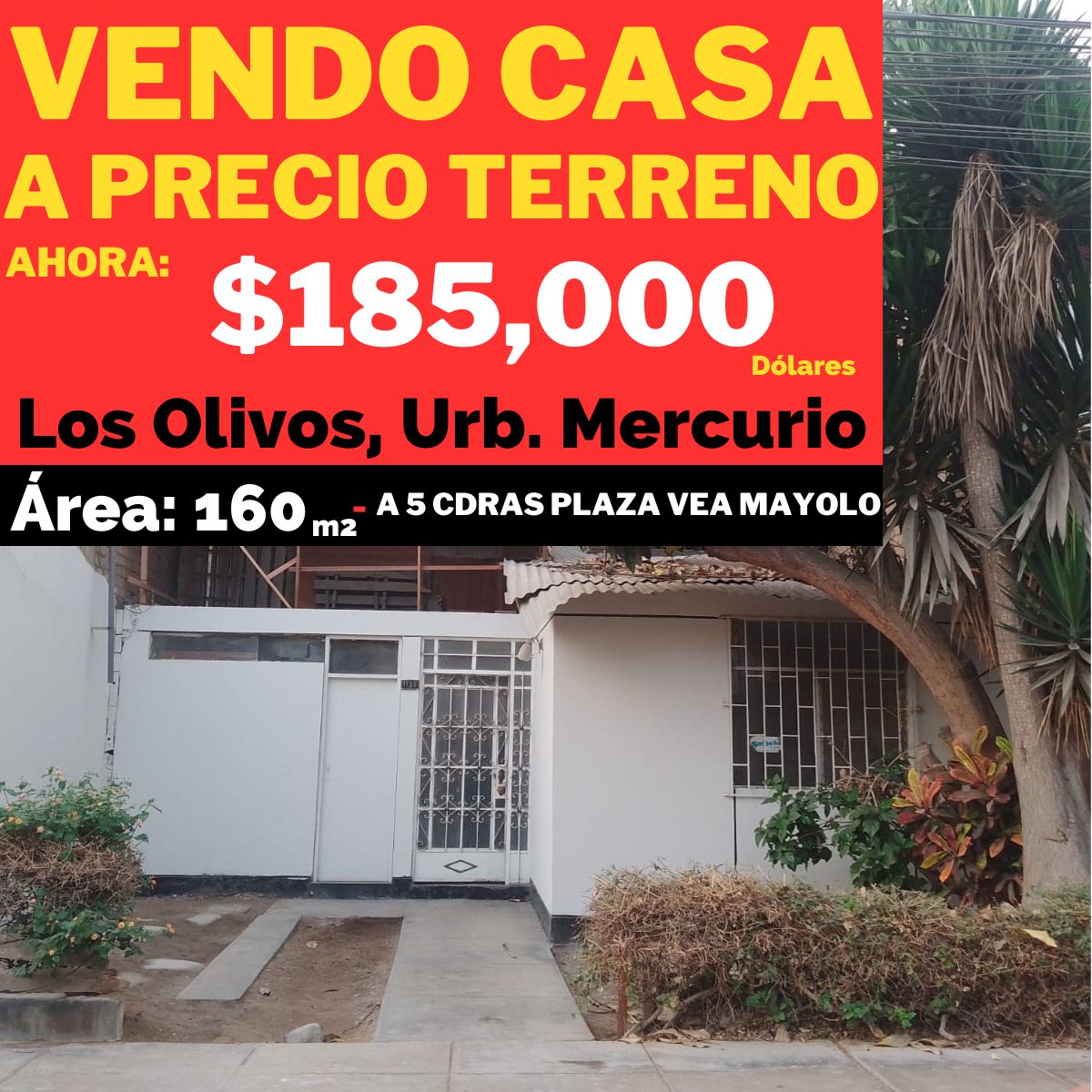 Casa en venta en Los Olivos