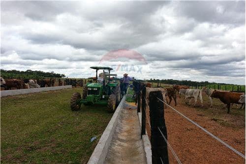 EN VENTA ESTACANCIA DE 2.100 HECTÁREAS EN SANTIAGO MISIONES — foto 3