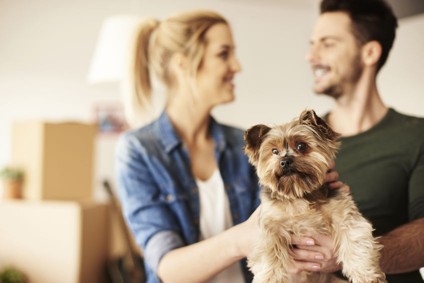 Cómo buscar casa si tenés mascotas