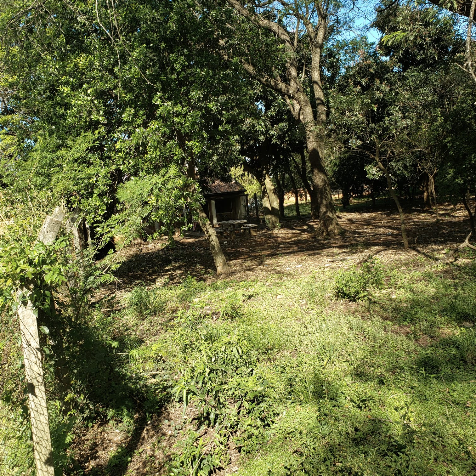 Lotes de terreno en Capiatá hacia la Ruta 1 — foto 3
