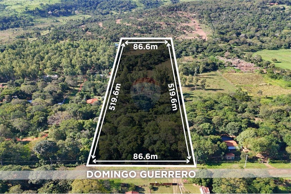 VENDO TERRENO EN SAN BERNARDINO 4.5 HECTAREAS — foto 2
