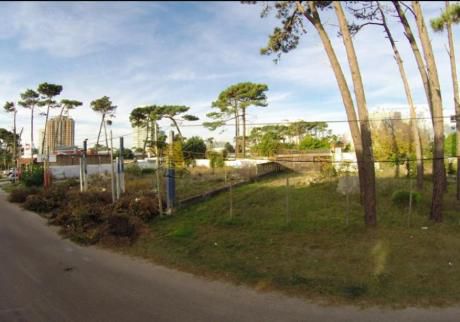 Apartamentos En Aidy Grill: Col248a