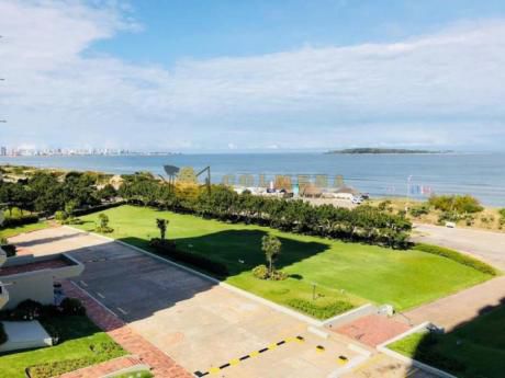 Apartamentos En Playa Mansa: Col861a