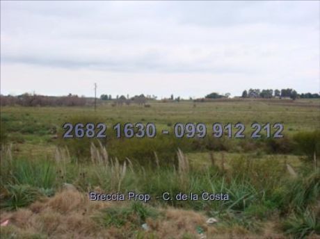 Exelente Predio 24,5 Hectareas En La Entrada Cw14652