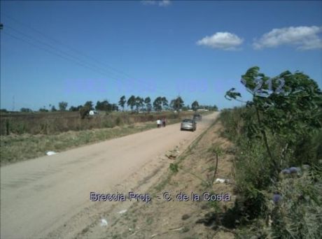 Oportunidad Chacra Zona Comercial 20 Hectareas Cw10340
