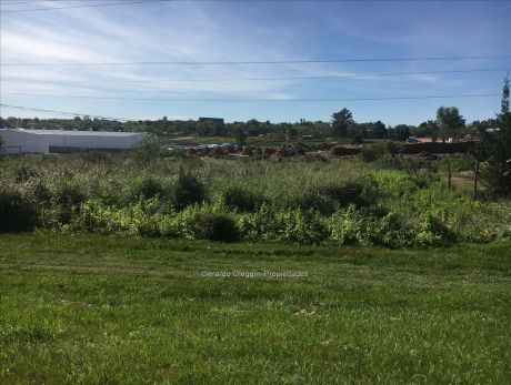 Venta Terreno 5000 Mts Interbalnearia