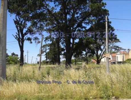 Excelente Terreno Sobre Interbalnearia Km Cw25172