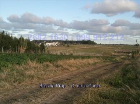 Chacra Rural Pegado A Colinas De Carrasco Cw10320