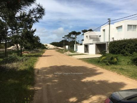 Terrenos En El Pinar