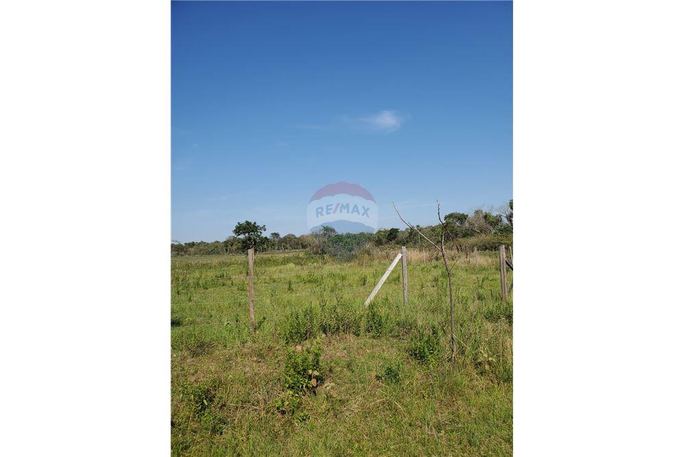 VENDO ENORME Y AMPLIO TERRENO EN SANBER A POCOS METROS DE NAUMANN — foto 2