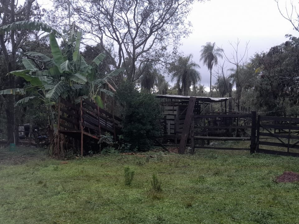 EN VENTA – PROPIEDAD RURAL EN CAPILLA CUÉ, PARAGUARÍ — foto 2