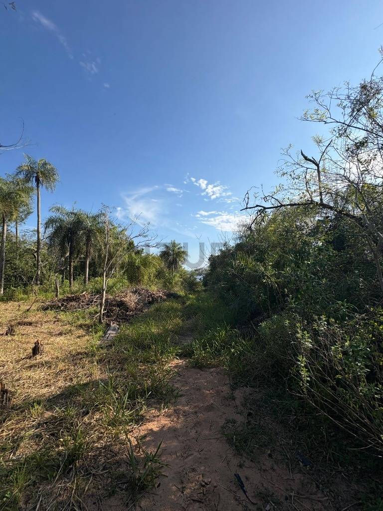 OPORTUNIDAD EN ZONA ANFITEATRO – San Bernardino — foto 2