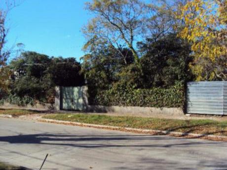 Excelente Predio De 1700 M2 Carrasco Sur