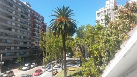 Apartamento 5 Dormitorios En Pocitos