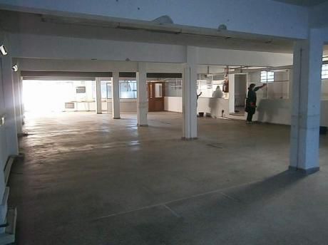 Oficina Pocitos 250 M2