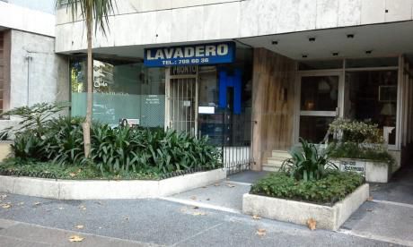 Local Comercial En Pocitos