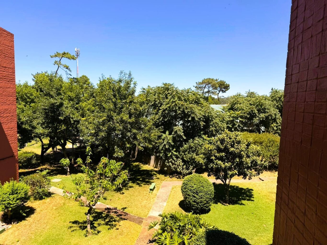 Apartamento en alquiler anual Maldonado · Foto 5