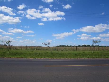 Alquilo 21 Hectáreas En Villeta, Sobre Ruta Que Va Directo Al Río Paraguay.