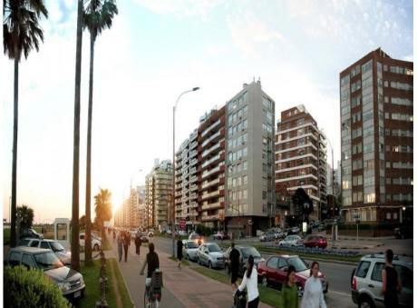 Sobre Rambla, Preciosa Planta !