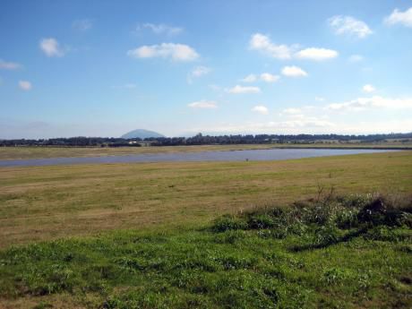 Laguna Del Sauce II