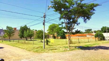 Terreno De 2000 M2 Los Laureles