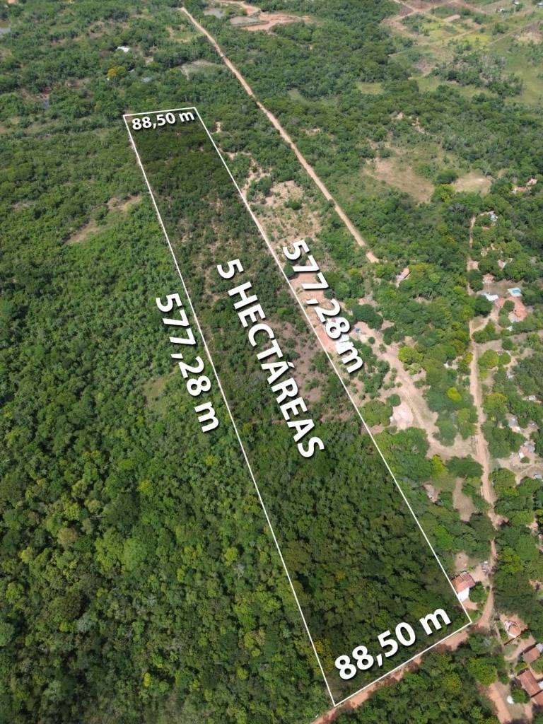 TERRENO DE 5 HECTAREAS EN YPACARAI — foto 3