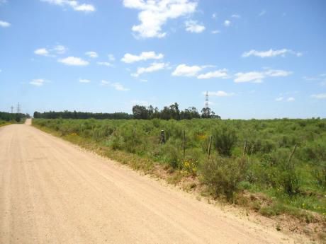 11 HectÁreas - Lote En Polo LogÍstico