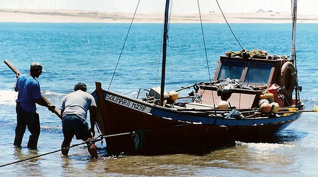 pescadores-cabo.png